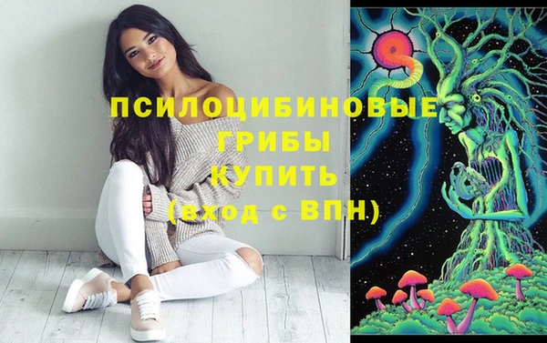 эйфоретик Армянск