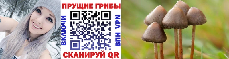 Галлюциногенные грибы Magic Shrooms  закладка  Коломна 